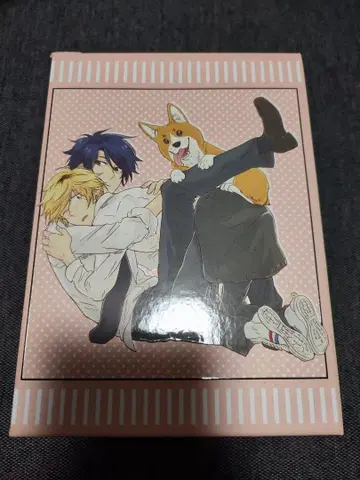 히토리즈메 마이 히어로 전권 수납 BOX