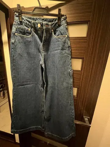 ANNA SUI 플레어 데님