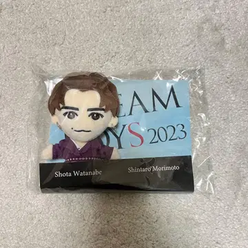 DREAM BOYS 와타나베 쇼타 봉제 인형