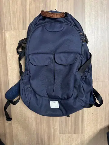 픽처 트래블 백팩