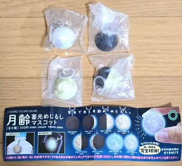 월령 축광 표시 마스코트 보름달 반달 가챠가챠