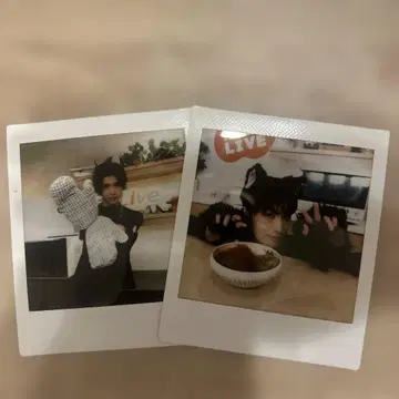 마시코 아츠키 폴라로이드