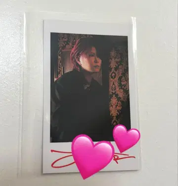 아라키 폴라로이드풍 컬렉션 사후 통신 판매 사인 포함