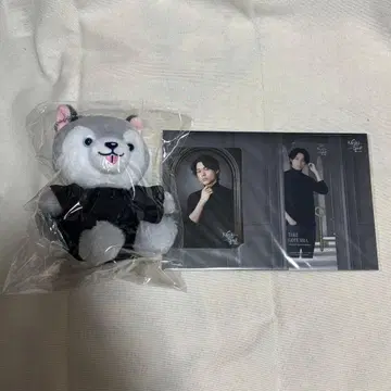 SixTONES 마츠무라 호쿠토 봉제 인형 노키도아 토리이누 굿즈 강아지