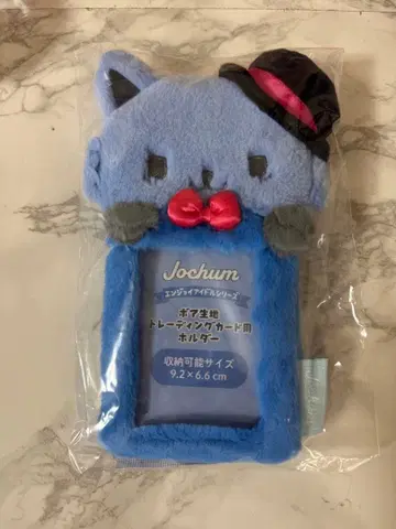 JOCHUM 레인 트레이딩 카드 케이스