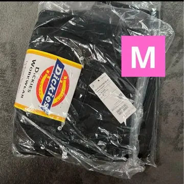 FUTURE ARCHIVE DICKIES W-KNEE WK BLACK M