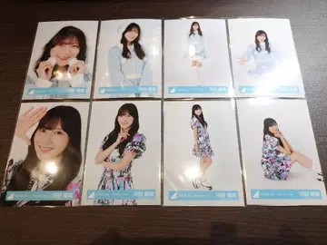 히나타자카 카와타 히나 브로마이드 8종 컴프