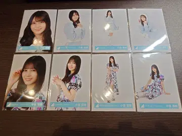 히나타자카 코사카 나오 브로마이드 8종 컴프