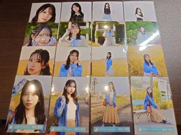 히나타자카 카네무라 미쿠 브로마이드 16종 컴프