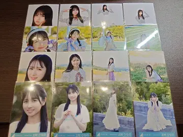 히나타자카 카무라 히나노 브로마이드 16종 컴프