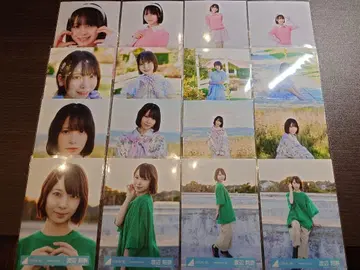 히나타자카 와타나베 리나 브로마이드 16종 컴프