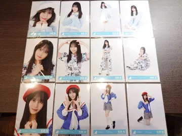 히나타자카 마츠오 사쿠라 브로마이드 12종 컴프