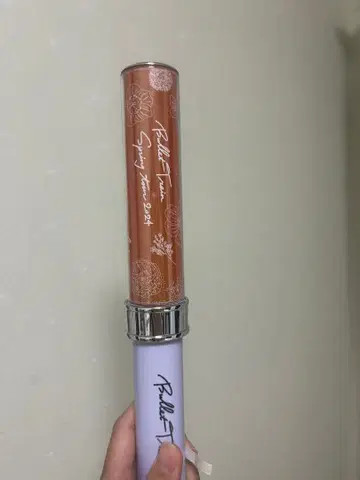 초특급 하루 응원봉 RiB Rail is Beautiful 투어