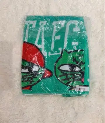 2PM 테기언 TAECYEON winter 일인 후드 부착 타월