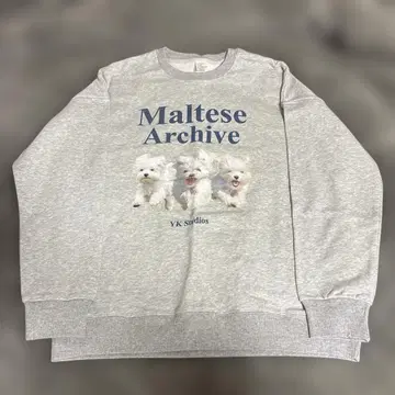 말티즈 맨투맨 M/170 그레이 트레이닝복