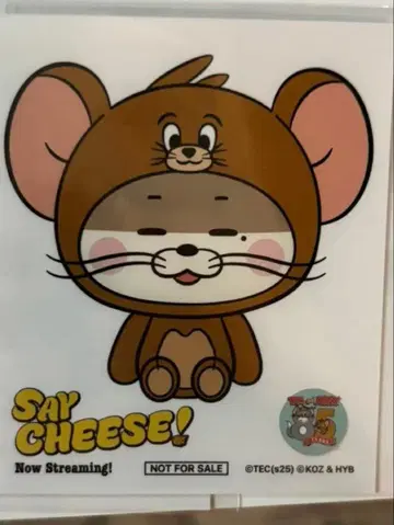 주말 가격 인하 BOYNEXTDOOR 보넥도 톰 제리 리우 스티커