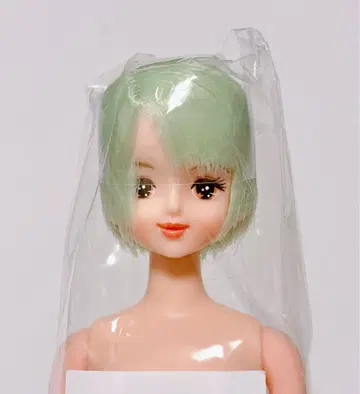 율리시아 오타노시미 인형 리카짱 캐슬 제니 프렌드