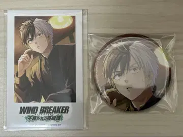 사쿠라 하루카 WIND BREAKER 윈히로 AGF 사진풍 카드 캔뱃지