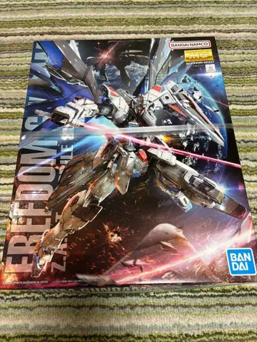 MG 1/100 스케일 프리덤 건담 Ver.2.0