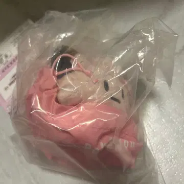 포켓몬 제일복권 E상 복조리 파우치 마스코트 피피