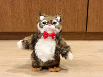 춤추는 댄싱 캣