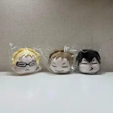 하이큐!! 푸요타마 시리즈 카게야마 토비오 츠키시마 케이 야쿠 모리스케