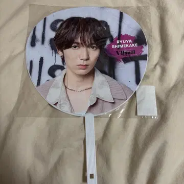 나나고미카케 타츠야 VIIsual 부채