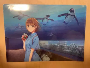 푸른상자 선샤인수족관 클리어 파일 미개봉 새상품