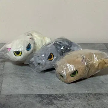 따르지 않는 고양이 봉제 인형 3종 세트