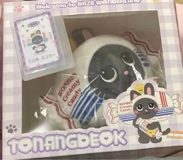 RIIZE 라이즈 riize 원빈 토냥독 중국 한정판