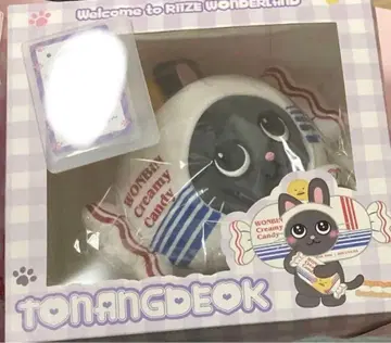 RIIZE 라이즈 riize 원빈 토냥독 중국 한정판