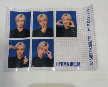 SUPER DRAGON 메듀라 MEDULLA 사진 스티커 이케다 효마