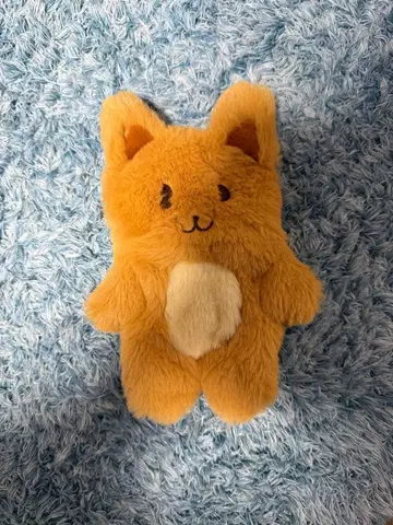 TWICE 쯔위 프로듀스 카이로 파우치 popup 겨울