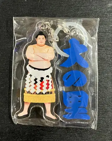 스모 가챠 오노사토 메지루시 액세서리