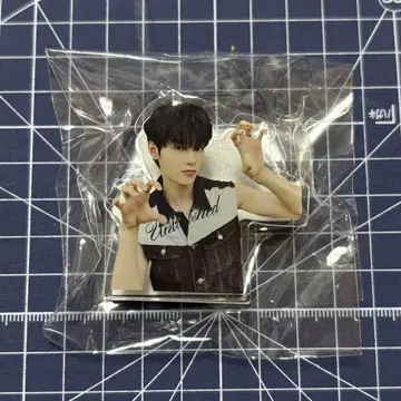 EVNNE 이정현 밈 클립