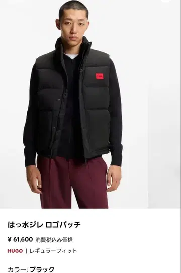 HUGO BOSS 다운 베스트