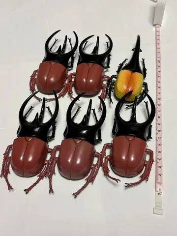 [파우치 추가] 장수풍뎅이 피규어 6체 세트