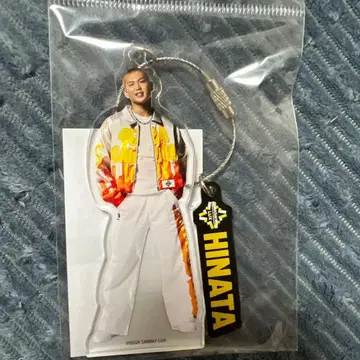 segasammy lux HINATA 사토 요우 아크링 키링