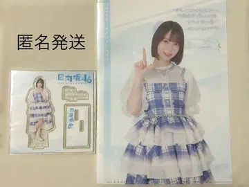 히나타자카46 복권 로손 아크릴 스탠드 파일 세트