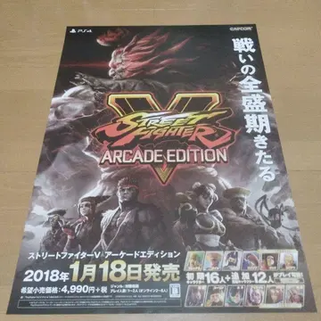 스트리트 파이터 포스터