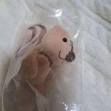 DIR EN GREY 파라리스 군