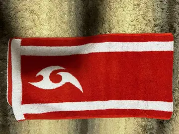 카브 타월 포켓몬 트레이닝복 세탁 완료