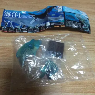 네이처 테크니컬러