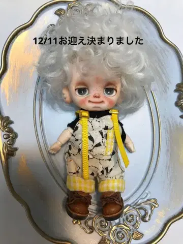 입양 결정되었습니다, 12/11. 커스텀 미니 브라이스 유체 바디 작가님