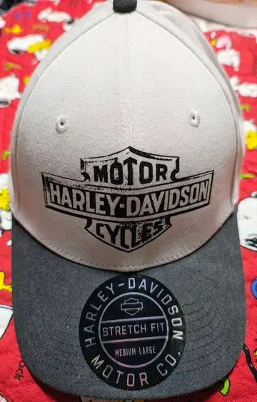 HARLEY-DAVIDSON 스트레치 핏 캡