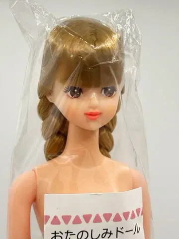 제니 프렌드 H 리카짱 캐슬 오타노시미 인형 아래 트위스트