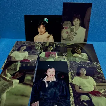 사와구치 야스코 사진