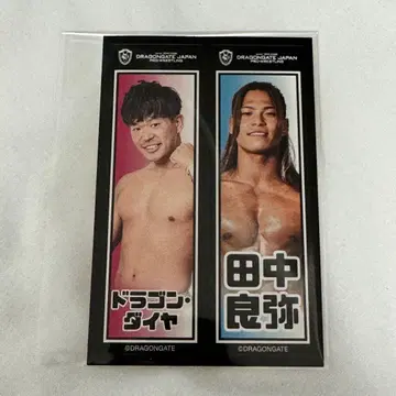 드래곤 게이트 비틀어 튀긴 센샤후 시일