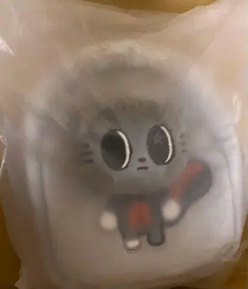 TXT 뿔바투 멀티 파우치 칸태현 태현