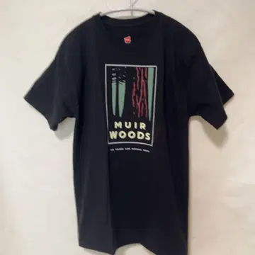 Hanes Muir Woods 티셔츠 M 사이즈 블랙
